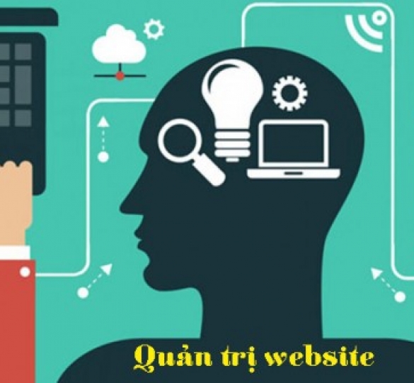 7 Quy Trình Quản Trị Website