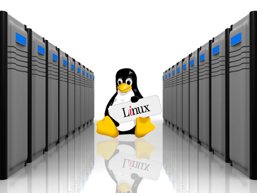 Mọi Thông Tin Cần Biết Về Hosting Linux
