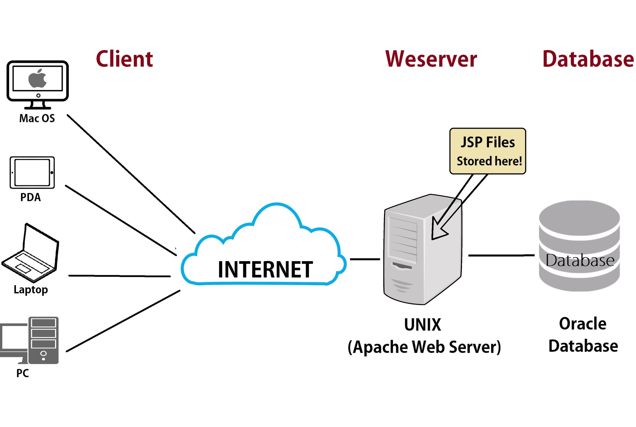Web Server Là Gì? | Cùng TLT Xây Dựng Website Chuyên Nghiệp